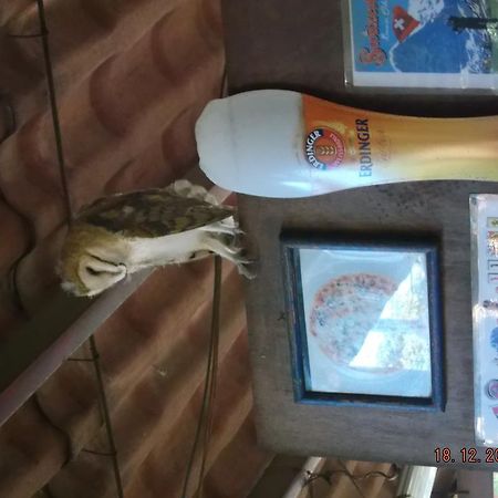 Charlys-Bungalows Hotel Margaritas Екстериор снимка